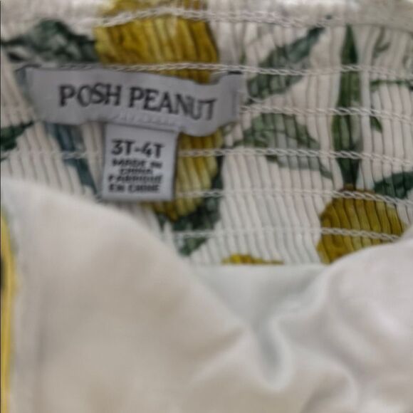 Posh Peanut Limoncello Yellow Lemon Print Dress with Ruffled Skirt - Picture 3 of 4